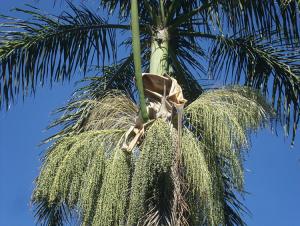 post-747-077242200 1327008225_thumb.jpg