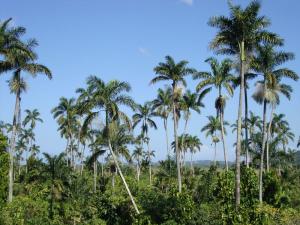 post-747-081037000 1327008781_thumb.jpg