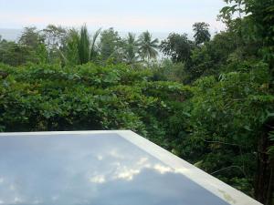 post-747-081961600 1328321501_thumb.jpg