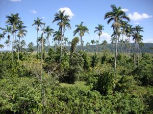 post-747-082524100 1327008654_thumb.jpg