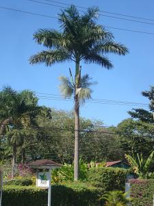 post-747-086758400 1327008393_thumb.jpg