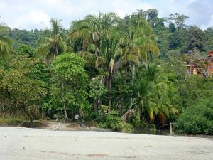 post-747-087057900 1328321394_thumb.jpg