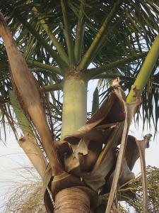 post-747-097224600 1327007533_thumb.jpg