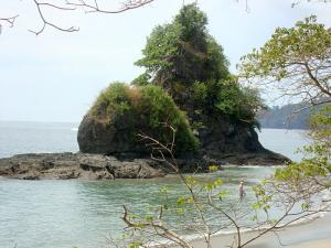 post-747-098975700 1328321179_thumb.jpg