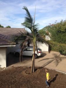 post-7474-0-37635800-1416412580_thumb.jp