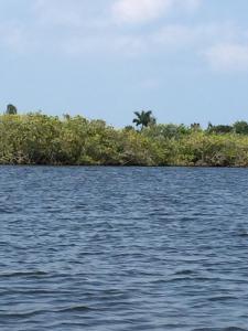 post-7521-0-33625000-1430088215_thumb.jp