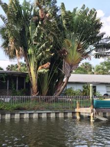 post-7521-0-43084500-1430087546_thumb.jp