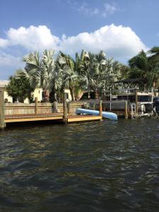 post-7521-0-44251900-1430087520_thumb.jp