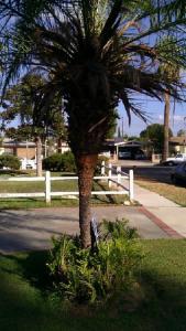 post-7539-0-13333600-1413437344_thumb.jp