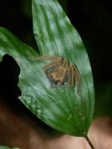 post-7567-0-06255700-1367296750_thumb.jp