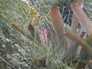 post-7567-0-10034100-1367296691_thumb.jp