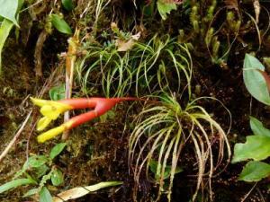 post-7567-0-12487500-1367296843_thumb.jp