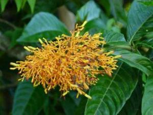 post-7567-0-27655800-1364778291_thumb.jp