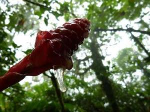 post-7567-0-36828100-1364778175_thumb.jp