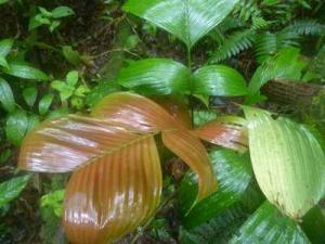 post-7567-0-41101600-1364778166_thumb.jp