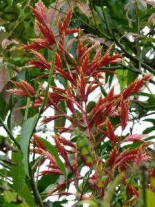 post-7567-0-43297800-1367296883_thumb.jp