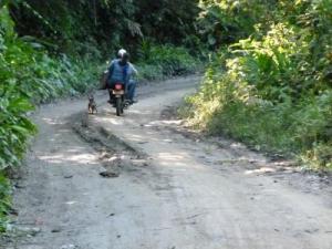 post-7567-0-47620100-1367296806_thumb.jp