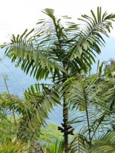 post-7567-0-53089400-1367296852_thumb.jp