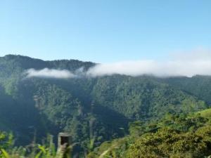 post-7567-0-60081300-1362999092_thumb.jp