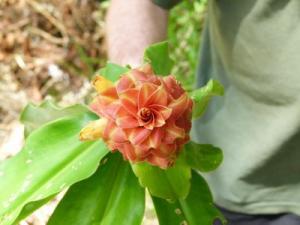 post-7567-0-73887500-1362998959_thumb.jp