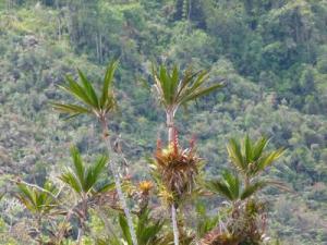 post-7567-0-81932400-1362999201_thumb.jp