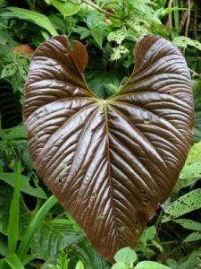 post-7567-0-83636500-1367296862_thumb.jp