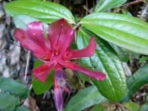 post-7567-0-95372200-1367296816_thumb.jp