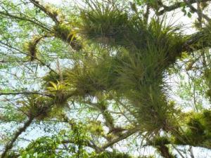 post-7567-0-96623500-1367296769_thumb.jp