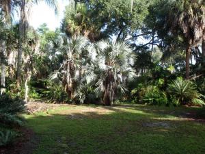 post-771-001020900 1311305007_thumb.jpg