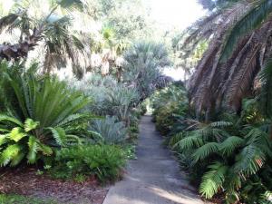 post-771-008824000 1311305057_thumb.jpg