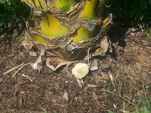 post-7747-0-92110800-1374168425_thumb.jp