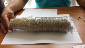 post-7822-0-21981900-1374871693_thumb.jp