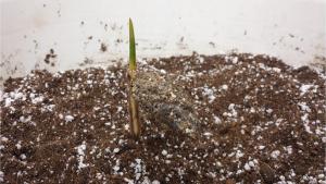 post-7822-0-56573500-1374872243_thumb.jp