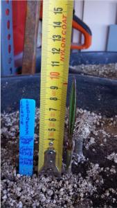 post-7822-0-81520400-1374872275_thumb.jp