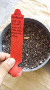 post-7822-0-88954800-1374968211_thumb.jp