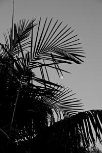 post-7959-0-15943200-1400554458_thumb.jp