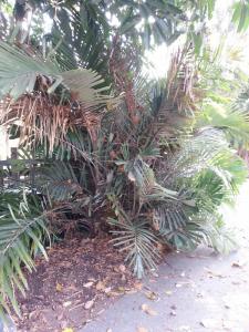 post-7959-0-23270400-1379729991_thumb.jp