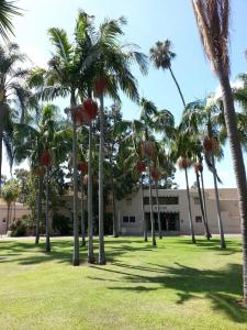 post-7959-0-44826700-1400554660_thumb.jp