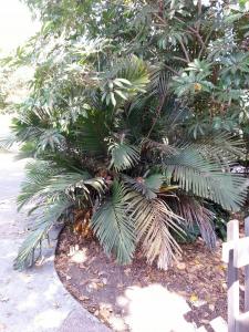 post-7959-0-62915000-1379722742_thumb.jp