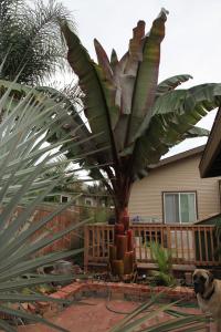 post-7959-0-87885800-1435440122_thumb.jp