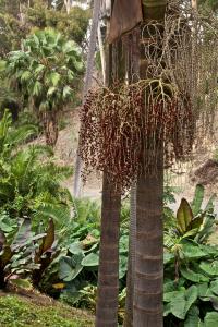 post-7959-0-93117200-1400554621_thumb.jp