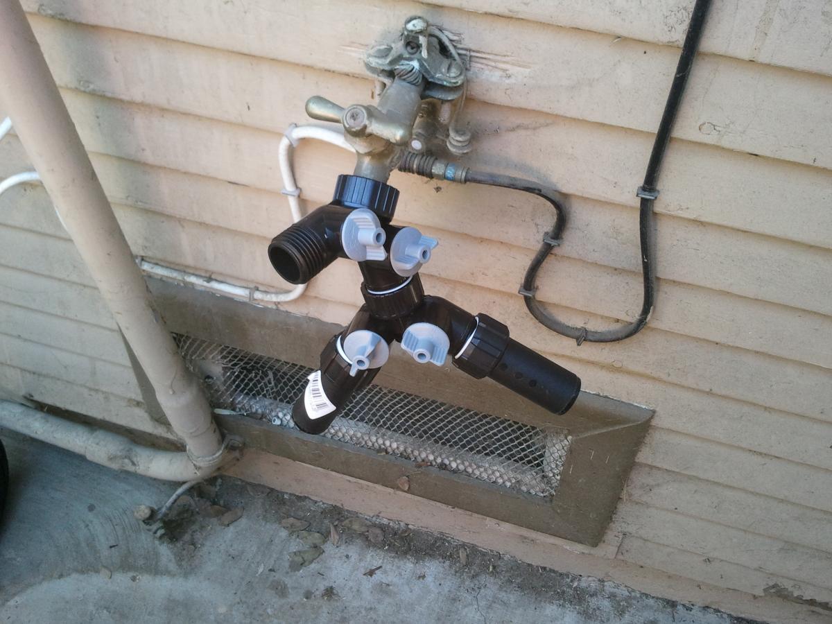 My drip system DISCUSSING PALM TREES WORLDWIDE PalmTalk