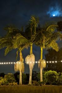 post-7959-0-97203200-1400554446_thumb.jp