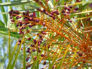 post-8007-0-01845700-1409226281_thumb.jp