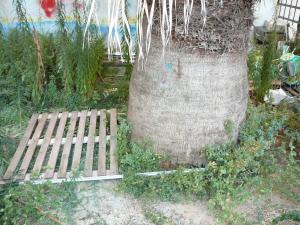 post-8007-0-81455500-1408263589_thumb.jp