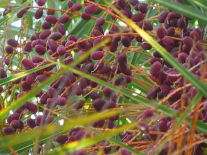 post-8007-0-88220100-1409226163_thumb.jp