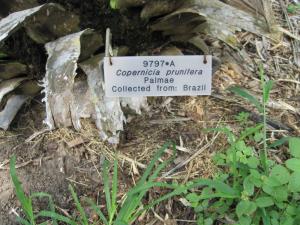 post-891-086879900 1316106213_thumb.jpg