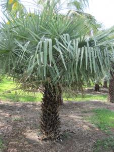 post-891-088457200 1316106160_thumb.jpg