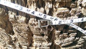 post-8989-0-87611600-1410383009_thumb.jp