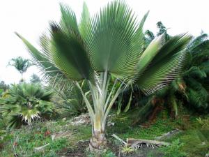 post-90-056660600 1316162784_thumb.jpg